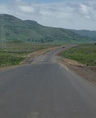 Route 8 (Dodola-Dinsho) Route 8 (Dodola-Dinsho)